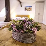 Gasthof Rosa