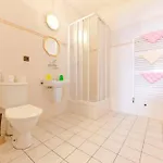 Rosa 3*