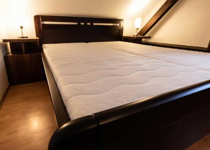 Rosa Český Krumlov