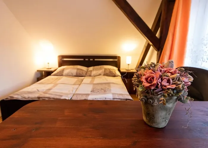 Gasthuis Rosa Český Krumlov